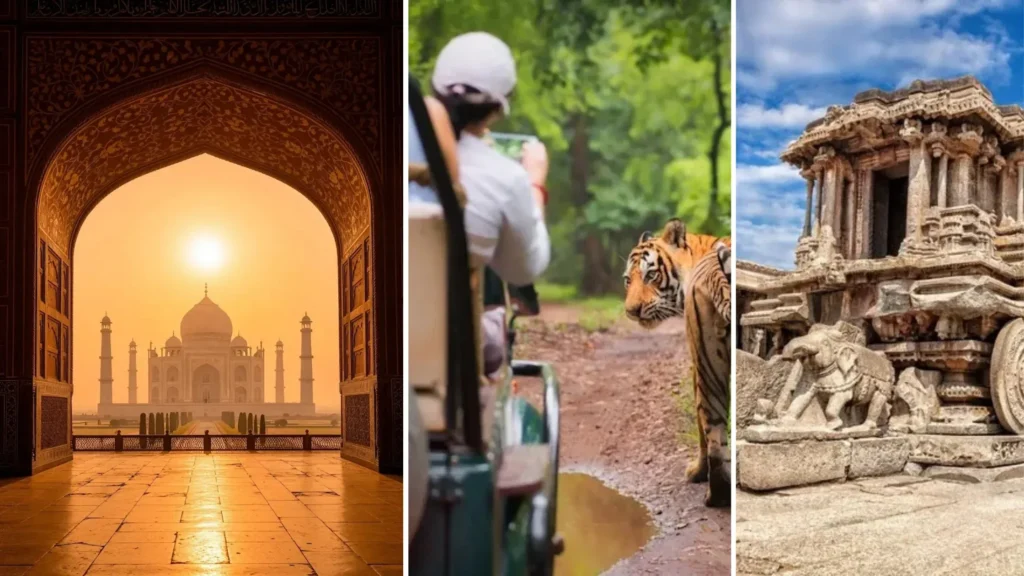 India wildlife and heritage tours for foreigners