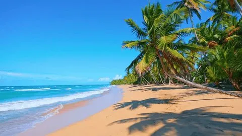 Caribbean islands with visa-free access for Indian passport holders